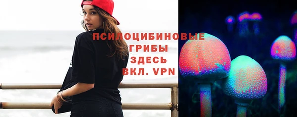прущая мука Армянск